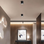 nuvlight Candis Architectural Adjustable Directional Downlight