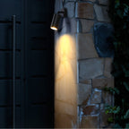 nuvlight Luxa Architectural Landscape Tree Spotlight