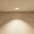 Velar Adjustable Downlight